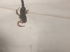 -北京城建第四医院