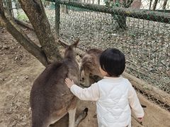 -宁波野生动物园