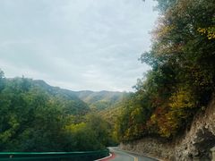 -云顶山风景区