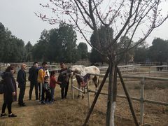 -秀丽东方