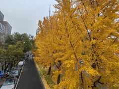 -元大都城垣遗址公园
