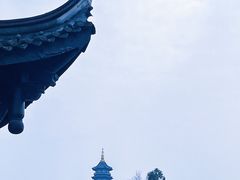 -重庆园博园