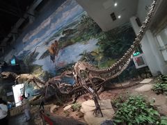 -自贡恐龙博物馆