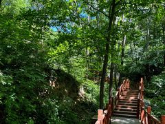 -大岭沟猕猴桃谷风景区