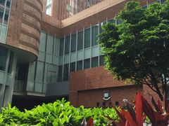 -香港大学