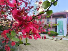 -上海交通大学董浩云航运博物馆