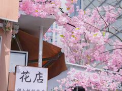 -首开·龙湖成都西宸天街