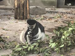 -合肥野生动物园