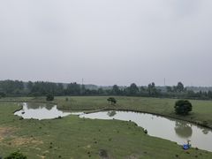 -溱湖国家湿地公园