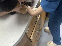 -联合动物医院(光谷诊疗中心)