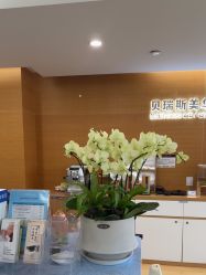 -杭州贝瑞斯美华妇儿医院·早孕·产检·儿科