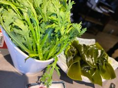 -同仁四季椰子鸡(宝安壹方城店)