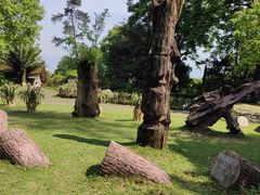 -南山植物园