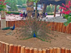 -石家庄市动物园