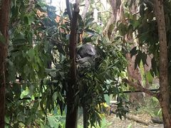 -可伦宾野生动物保护区