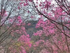 -九皇山景区