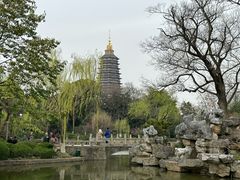 -红梅公园