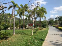 -金鸡岭桥头公园