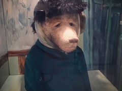 -济州岛泰迪熊博物馆