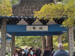 -西湖游船