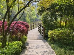 -龙头寺公园
