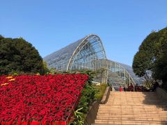 -南山植物园
