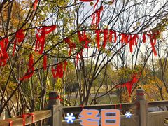 -八大山人梅湖景区