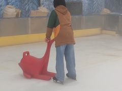 -世界之窗阿尔卑斯冰雪世界