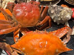 -乔哥铭洋海鲜自助(皇城恒隆广场店)