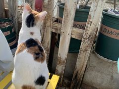 -小时光咖啡馆(北锣鼓巷店)