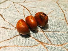 -德州小高糖炒栗子(十三局店)