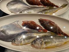 -高佳庄·舟山海鲜(海景旗舰店)