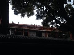 iphone_upload_pic-醉云喃