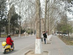 -西北农林科技大学(北校区)