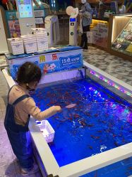 -卡通尼乐园(武汉凯德1818店)
