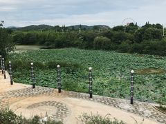 -池州市平天湖风景区