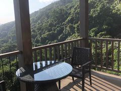 -三亚亚龙湾人间天堂鸟巢度假村