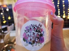 -Husky Go! 哈士奇体验馆·宠物咖啡厅狗咖