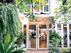 -Fern Forest Cafe