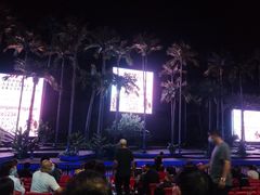-三亚红色娘子军演艺公园景区
