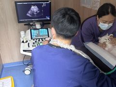 -恒幸动物医院·急重症转诊中心·神经内外科·CT核磁