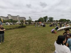 -九龙湖公园