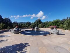 -雁南飞茶田景区