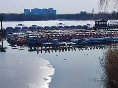 -大兴滨河森林公园