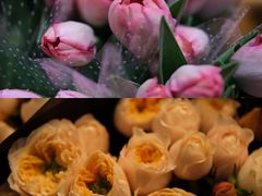 -双季花艺园艺市场(浦东店)