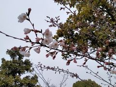 -南京中医药大学(仙林校区)