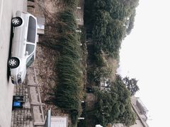 -上海佘山国家森林公园西佘山园