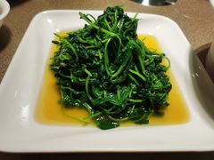 -天福苑(崇宁路店)