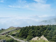 -白草畔自然风景区