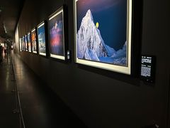 -罗红摄影艺术馆